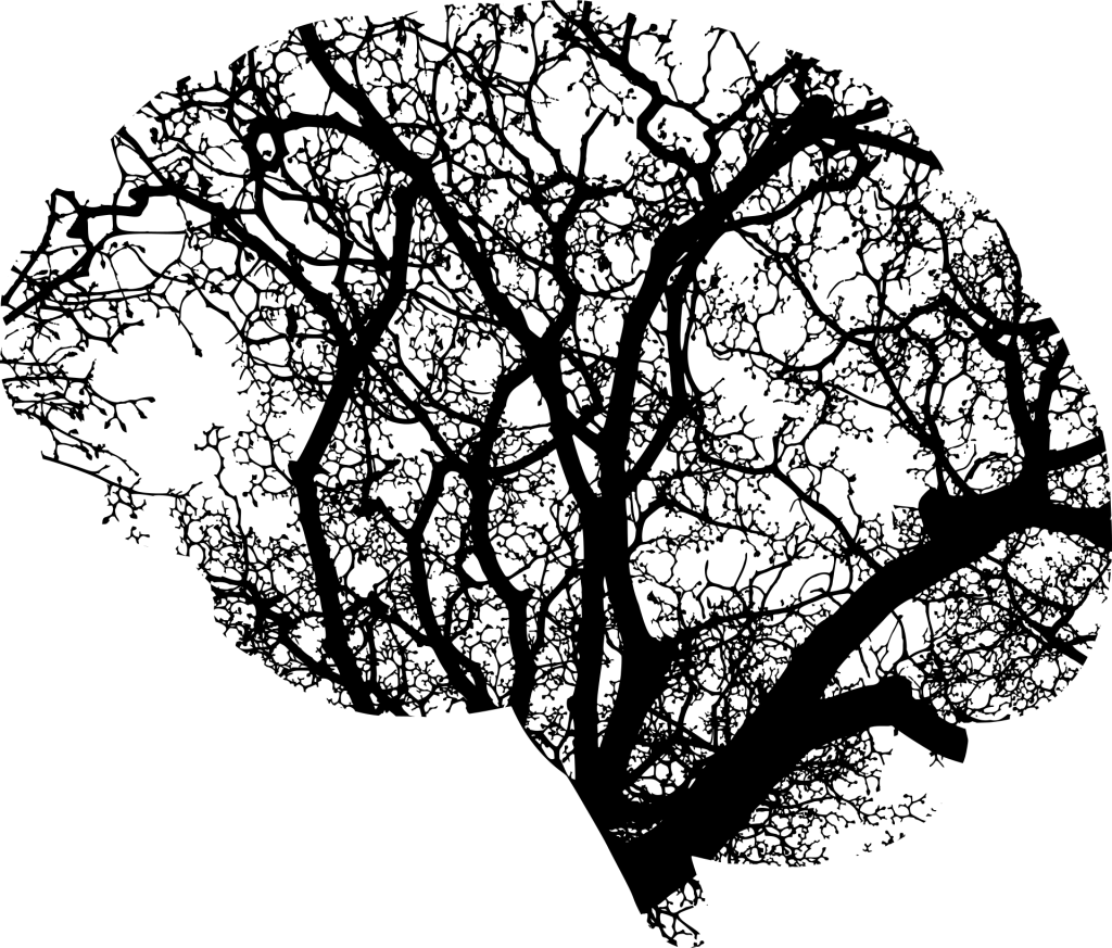 ZAYIF AI