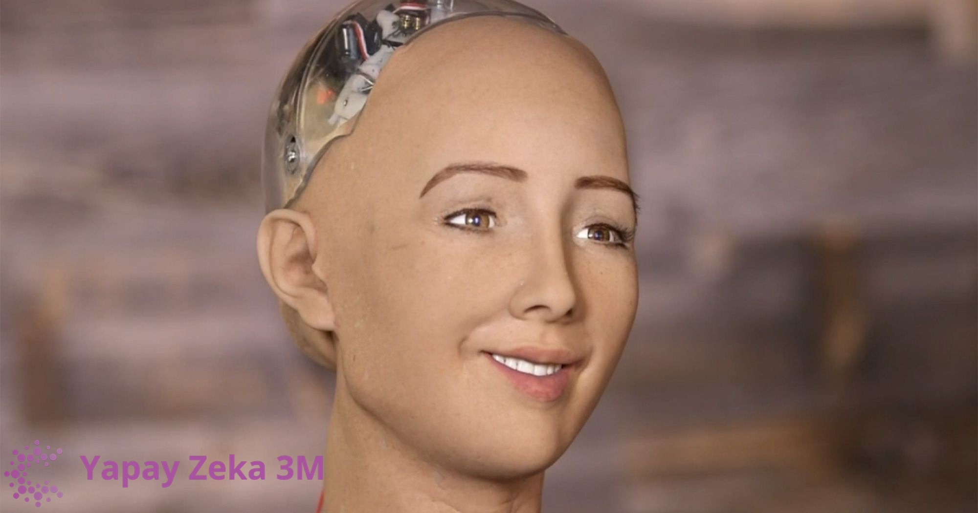 Robot Sophia yapayzeka3m