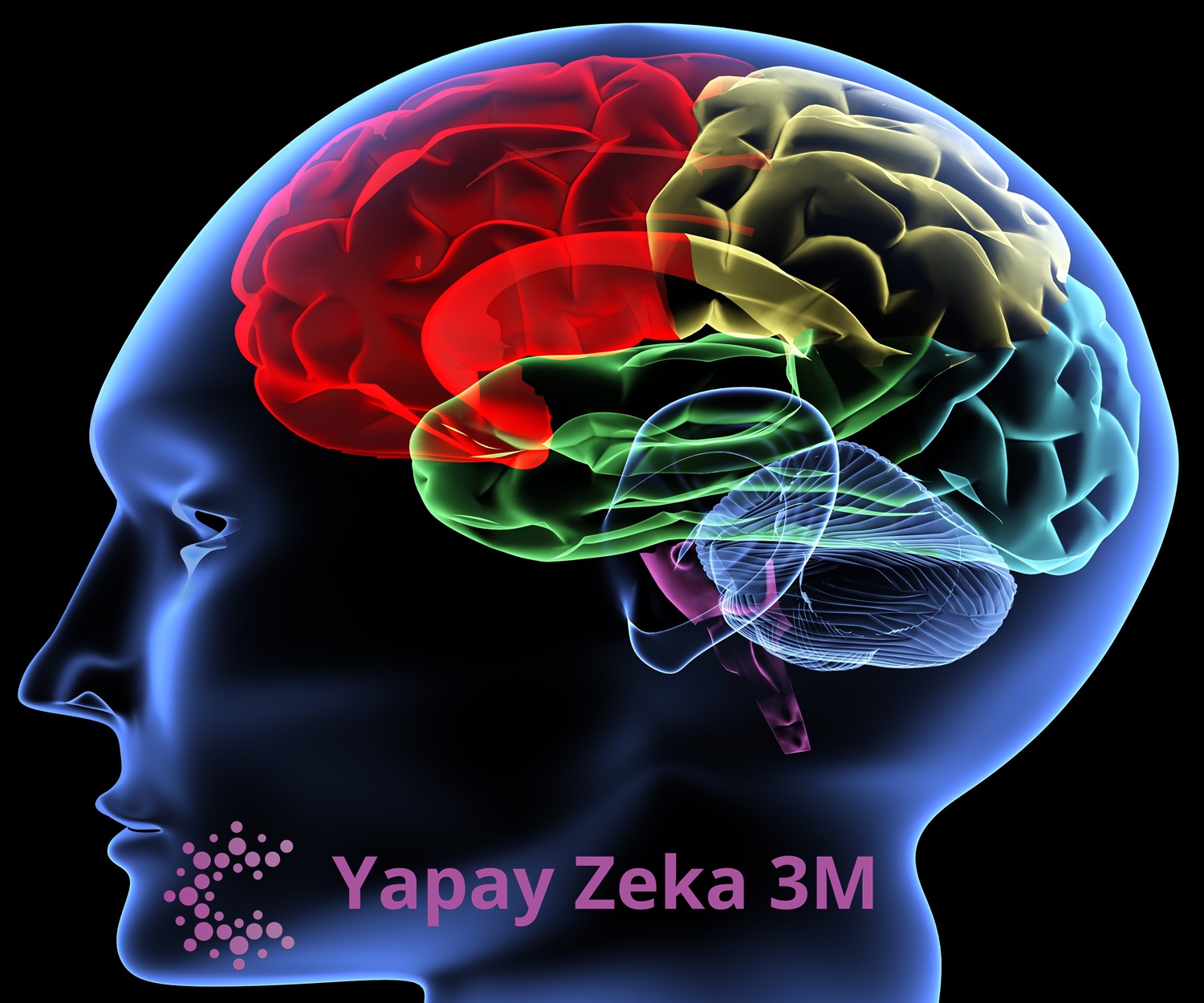 Yapay Zeka Algoritmaları Nedir