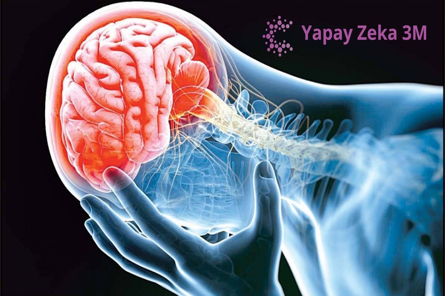 Yapay Zeka Irkçılığı