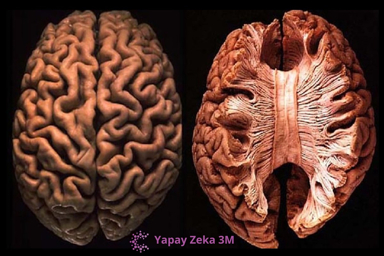 Yapay Zeka 2020